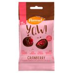 Drageado-Flormel-De-Cranberry-com-40g