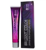 Tintura-Brilliant-Louro-Escuro-Dourado-Color-6.3