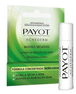 ACNEDERM-PAYOT-BASTAO-SECATIVO-4G