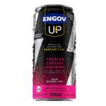 Engov-Up-Morango-e-Kiwi-269ml