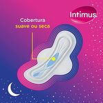 Absorvente-Intimus-Gel-Noturno-Seca-Com-Abas-Com-30-unidades