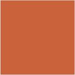 Payot-Blush-Intensite-compacto-5g-Intensite