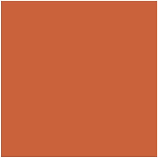 Payot-Blush-Intensite-compacto-5g-Intensite