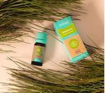 Oleo-Essencial-Therapi-Melaleuca-10ml