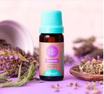 Oleo-Essencial-Therapi-Lavanda-10ml
