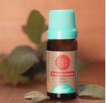 Oleo-Essencial-Therapi-Salvia-Esclareia-10ml