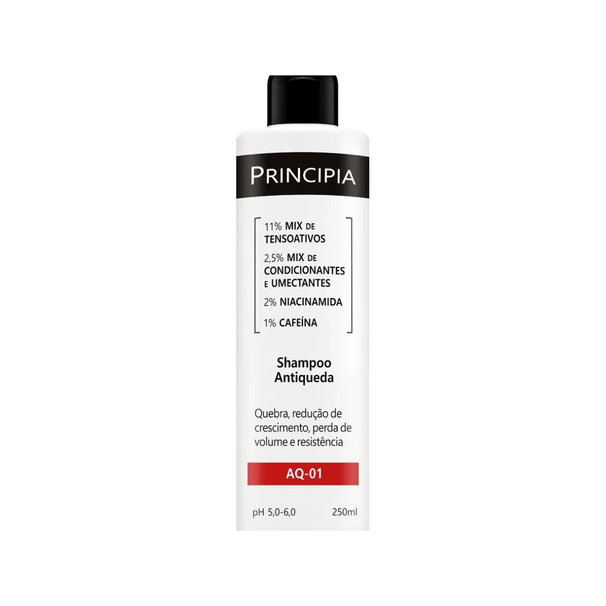 Shampoo-Antiqueda-AQ-01-Principia-com-250ml