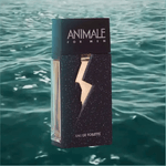 Perfume-Animale-For-Men-Masculino-Eau-de-Toilette-com-100ml--3-